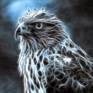 NITEHAWKX12